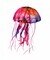 Multicolored Jellyfish Poster Print by Edward Selkirk - Item # VARPDXSE363F1